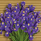 Miniatura fototapety Strauß Iris