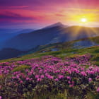 Miniatura fototapety Morgensonnenaufgang in den Bergen