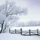 Miniatura fototapety Natur im Winter