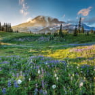 Miniatura fototapety Herrliche Berglandschaft
