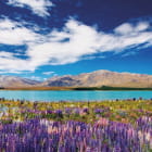 Miniatura fototapety Natur Islands