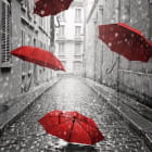 Miniatura fototapety Rote Regenschirme