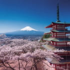 Miniatura fototapety Park in Japan
