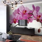 Miniatura fototapety Volumetrische Orchidee we wnętrzu salonu