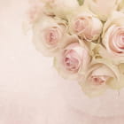 Miniatura fototapety Strauß üppiger Rosen