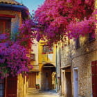 Miniatura fototapety Blumen der Provence Frankreich