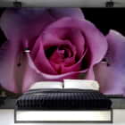 Miniatura fototapety Große schöne Rose we wnętrzu sypialni