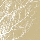 Miniatura fototapety Weißer Baum