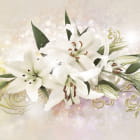 Miniatura fototapety Schillernde Lilien