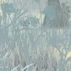 Miniatura fototapety Äste fragment # 1
