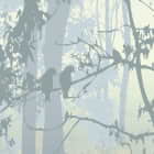 Miniatura fototapety Äste fragment #2