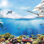 Miniatura fototapety Schiff und Delfine