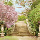 Miniatura fototapety Treppen im Garten