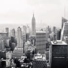Miniatura fototapety Schwarz-weiße Metropole