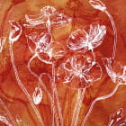 Miniatura fototapety Mohnblumen zeichnen