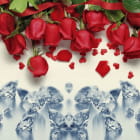 Miniatura fototapety Rosen und Diamanten