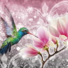 Miniatura fototapety Kolibri und Magnolie