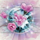 Miniatura fototapety Magnolien 3D