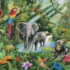 Miniatura fototapety Tropische Tiere