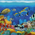 Miniatura fototapety Schwimmender Fisch