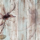 Miniatura fototapety Magnolienzeichnung auf Holz