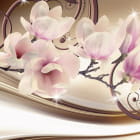 Miniatura fototapety Funkelnde Magnolien