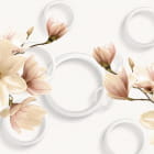 Miniatura fototapety Magnolien und weiße Kreise