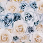 Miniatura fototapety Strauß wundervoller Rosen