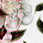 Miniatura fototapety Luxuriöse rosa Blüten fragment # 1