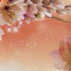 Miniatura fototapety Brillante Chrysanthemen