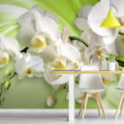 Miniatura fototapety Orchideen auf grünem Hintergrund we wnętrzu kuchni