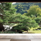 Miniatura fototapety Gartenaussicht