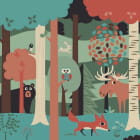 Miniatura fototapety Tiere im geheimnisvollen Wald
