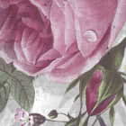 Miniatura fototapety Zeichnung eines Blumenarrangements fragment # 1