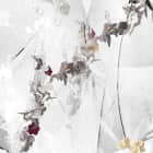 Miniatura fototapety Abstrakte Wildblumen fragment # 1