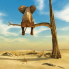 Miniatura fototapety Elefant auf einem Baum