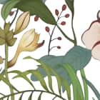 Miniatura fototapety Unbefleckte Wildblumen fragment # 1