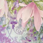 Miniatura fototapety Herrliche Magnolien fragment # 1
