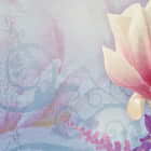 Miniatura fototapety Herrliche Magnolien fragment #2