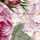 Miniatura fototapety Blumen und Text fragment # 1