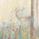 Miniatura fototapety Frühlingswald fragment # 1