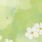 Miniatura fototapety Schwebende Blumen fragment #2