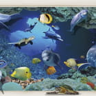 Miniatura fototapety Unterwasserwelt 3D