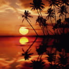Miniatura fototapety Roter Sonnenuntergang