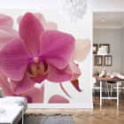 Miniatura fototapety Zarte Orchideenblüte we wnętrzu salonu