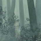 Miniatura fototapety Grüner Wald im Nebel fragment # 1
