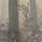 Miniatura fototapety Abend in einem nebligen Wald fragment # 1