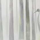 Miniatura fototapety Frühlingswald im Nebel fragment # 1