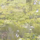 Miniatura fototapety Frühlingswald im Nebel fragment #2