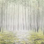 Miniatura fototapety Frühlingswald im Nebel